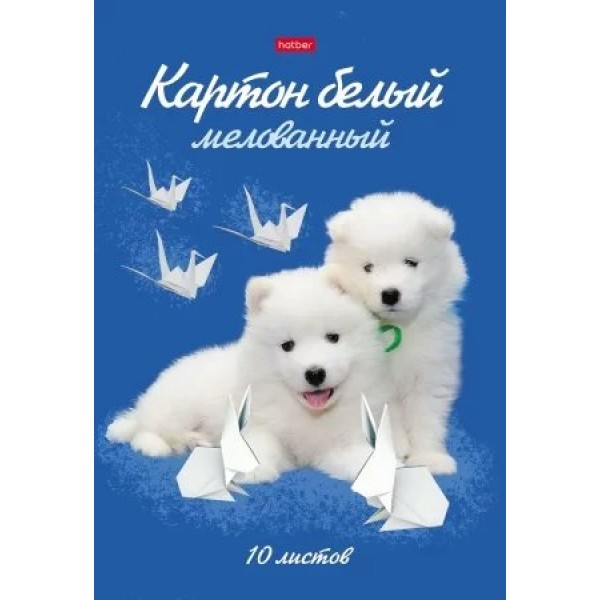 Картон белый А4 20х28 10 листов Милые создания мелованный в папкае  12374 10Кб4_12374 Хатбер  083849