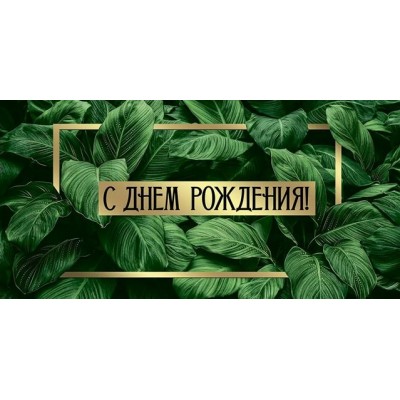 Империя поздравлений/Конверт для денег. С Днем рождения!/41,525,00/