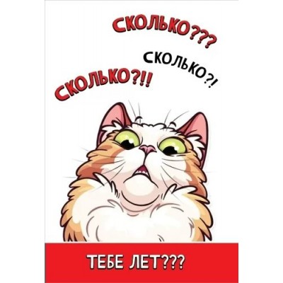 Праздник/Откр. Сколько??? Сколько?! Сколько?!!! Тебе лет???/1804386/