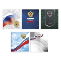 Тетрадь 48 листов А5+ клетка Символика выборочный твин-лак 60г/м2 66709 Феникс 10/60