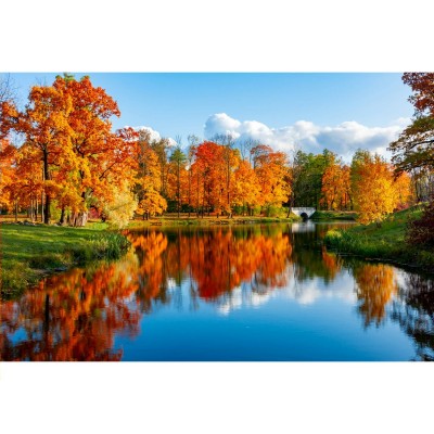 Мозаика алмазная холст на подрамнике 30х40 Осенний парк блестящая полная выкладка 30 цветов НД-0547 Рыжий кот