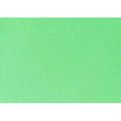 Бумага цветная А4 10л 300г/м2 зеленый изумруд 614/1054 Folia  52346