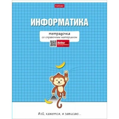 Тетрадь предметная 48 листов А5 клетка Тетрадочка Информатика матовая ламинация 65г/м2 48Т5лВd1_30590 Хатбер 10/100 084579