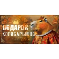 Открытая планета/Конверт для денег. Подарок КопиБарышне/70.573/