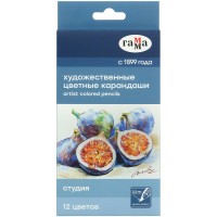 Карандаши цветные 12шт Студия картонная упаковка 100822_12 Гамма  356556 Карандаши цветные 12шт Студия картонная упаковка 100822_12 Гамма  356556