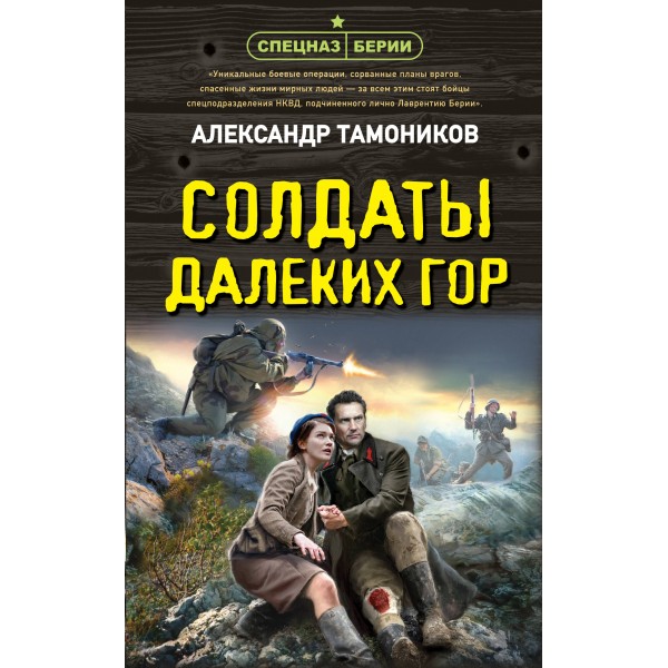 Солдаты далеких гор. Тамоников А.А.