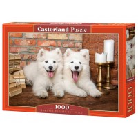 Castor Land Пазл 1000  Щенки самоеда C-105137 Польша