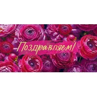 Открытая планета/Конверт для денег. Поздравляем!/70.752/
