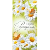 Империя поздравлений/Конверт для денег. С Днем рождения!/4199800/