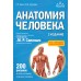 Анатомия человека. Атлас с qr - кодами на цветные изображения. Билич Г.Л.