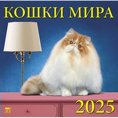 ДеньЗаДнем/Календарь настенный перекидной на скрепке 2025. Кошки мира/300 х 300/70504/