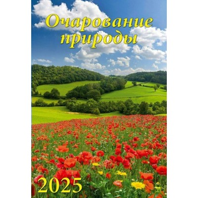 ДеньЗаДнем/Календарь настенный перекидной на спирали 2025. Очарование природы/350 х 500/12507/