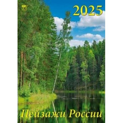 ДеньЗаДнем/Календарь настенный перекидной на спирали 2025. Пейзажи России/250 х 340/11516/