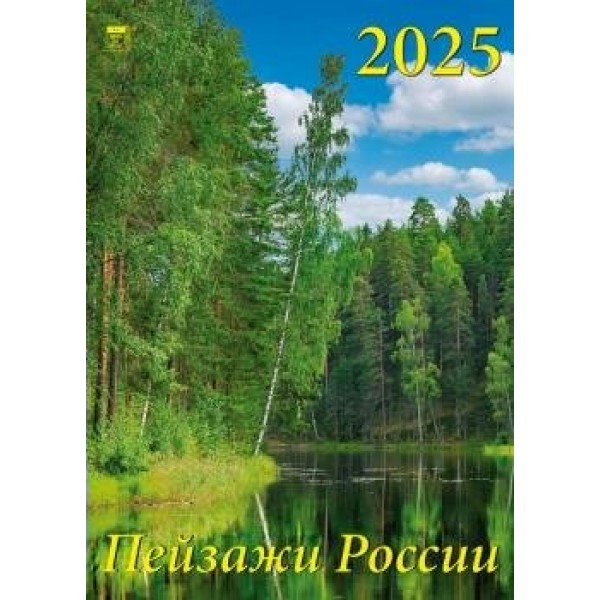 ДеньЗаДнем/Календарь настенный перекидной на спирали 2025. Пейзажи России/250 х 340/11516/