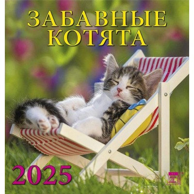 ДеньЗаДнем/Календарь настенный перекидной на скрепке 2025. Забавные котята/160 х 170/30508/