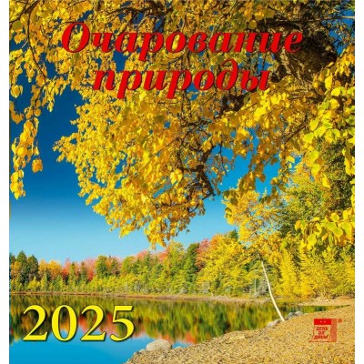 ДеньЗаДнем/Календарь настенный перекидной на скрепке 2025. Очарование природы/160 х 170/30511/