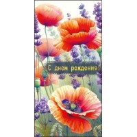 Мир поздравлений/Конверт для денег. С Днем рождения!/075.747/