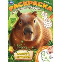 Раскраска. Капибара в зоопарке. Соедини по цифрам. Считаем от1 до 20. А4. 