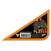 Папка для тетрадей А5 23х19см пластиковая на молнии Player с уголком, расширение 5см ПМ-А5-02 Пчелка