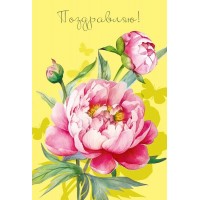 Мир поздравлений/Откр. Поздравляю!/004.968/