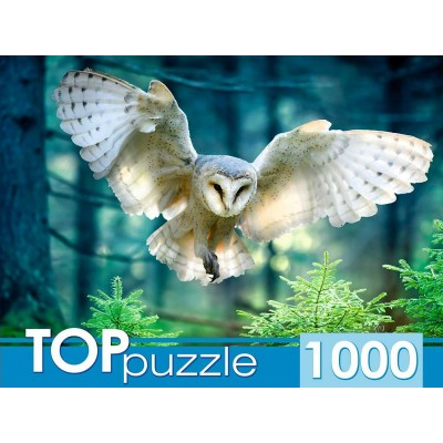 Рыжий кот Пазл 1000 TopPuzzle Полет совы ШТ1000-3870 Россия