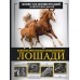 Лошади. Большая визуальная энциклопедия. Спектор А.А.