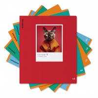 Тетрадь 48 листов А5+ 170х203 клетка CatTone ассорти матовая ламинация, выборочный Уф-лак Mix-Pack 60г/м2 63308 ErichKrause 5/100