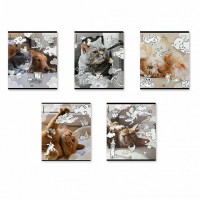 Тетрадь 48 листов А5+ 170х203 клетка, пластиковая обложка Dream Cat MIX-PACK 60г/м2 54161 ErichKrause 5/100