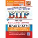 ВПР. Литературное чтение. За курс начальной школы. Практикум по выполнению типовых заданий. 10 вариантов заданий. 2025. Проверочные работы. Волкова Е.В. Экзамен