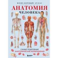 Анатомия человека. Популярный атлас. Самые подробные анатомические изображения. 