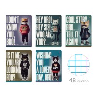 Тетрадь 48 листов А5 165х203 клетка AI CAT УФ-лак сплошной, 60г/м2 7-48-1330 Альт 10/60 Тетрадь 48 листов А5 165х203 клетка AI CAT УФ-лак сплошной, 60г/м2 7-48-1330 Альт 10/60