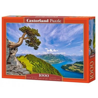Castor Land Пазл 1000  Вид на озеро Ури. Швейцария C-105311 Польша