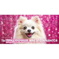 Открытая планета/Конверт для денег. Ты придурочная, мне это нравиться/90000085/