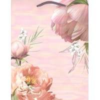 Арт и Дизайн/Пакет бумажный ламинированный/180 х 223/0192.249/