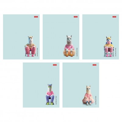 Тетрадь 48 листов А5 клетка, пластиковая обложка Alpaca fan ассорти, 60-65г/м2 48Т5В1пл Хатбер 5/60 090249
