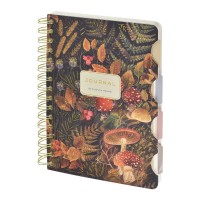 Книжка записная 120 листов А5 клетка, линия, в точку, гребень Art journal Forest Fairy Tale бежевая бумага, с разделителями, 80г/м2 3-737/07 Bruno Visconti 8/48