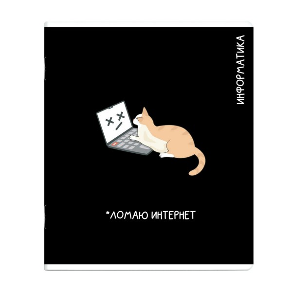 Тетрадь предметная 48 листов А5+ клетка Коты мемы Информатика выборочный твин УФ-лак, 60г/м2 69827 Феникс 16/48