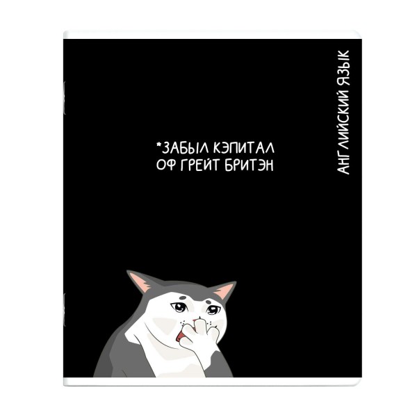 Тетрадь предметная 48 листов А5+ клетка Коты мемы Английский язык выборочный твин УФ-лак, 60г/м2 69828 Феникс 16/48