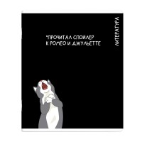 Тетрадь предметная 48 листов А5+ линия Коты мемы Литература выборочный твин УФ-лак, 60г/м2 69832 Феникс 16/48