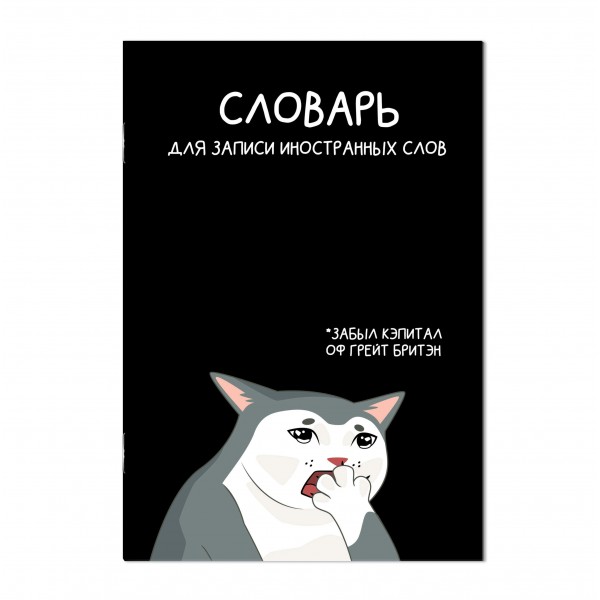 Тетрадь 24 листа А5 для записи иностранных слов Коты мемы глянцевая ламинация, 65г/м2 69895 Феникс
