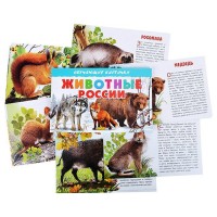 Животные России. 