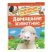 Домашние животные. Травинка И.В.