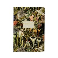 Тетрадь 40 листов А5 клетка Эльфийский лес матовая ламинация софт-тач, фольга золото, бежевая бумага, 70г/м2 7-40-001/176 Bruno Visconti 6/24