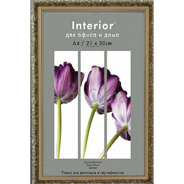 Фоторамка пластиковая 21х30 Interior Office золото 786 серия 7 Б0030736 Image art