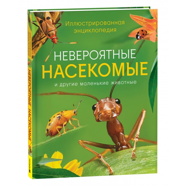 Невероятные насекомые и другие маленькие животные. Иллюстрированная энциклопедия. М. Тернер