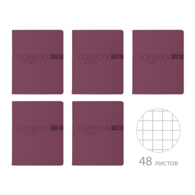Тетрадь 48 листов А5 клетка My color аметист, ВДл, 60г/м2 7-48-1382 Bruno Visconti 5/60