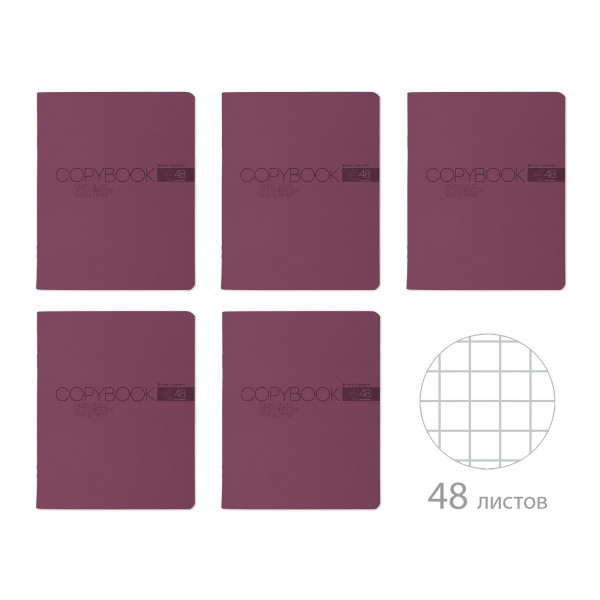 Тетрадь 48 листов А5 клетка My color аметист, ВДл, 60г/м2 7-48-1382 Bruno Visconti 5/60