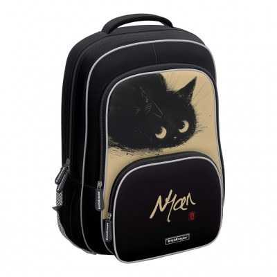 Рюкзак  20L ErgoLine Blur Cat 1 отделение, светоотражающие элементы, 400гр 62814 ErichKrause
