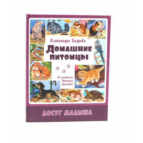 Домашние питомцы. Бодрова А.В.