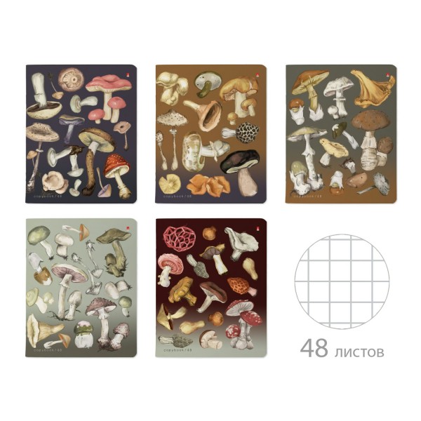 Тетрадь 48 листов А5 165х203 клетка Грибная феерия матовая ламинация, 60г/м2 7-48-1325 Альт 10/60